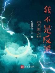 火影之我不是反派封面