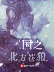 三国之北方苍狼封面