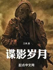 谍影岁月封面