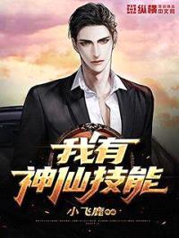 我有神仙技能封面