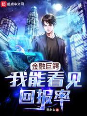 金融巨鳄：我能看见回报率封面