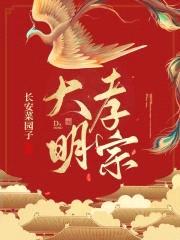 大明孝宗封面