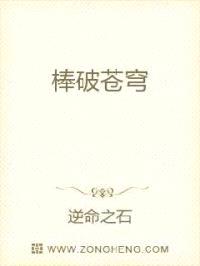 棒破苍穹封面