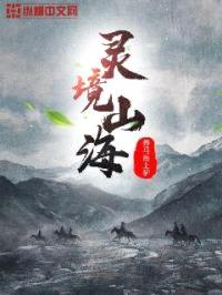 灵境山海封面