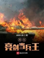 我在亮剑当兵王封面
