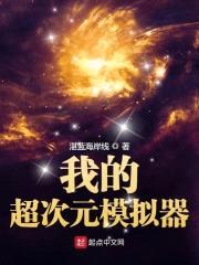 我的超次元模拟器封面