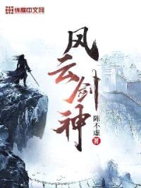 风云剑神封面