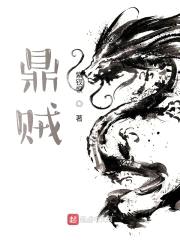 鼎贼封面