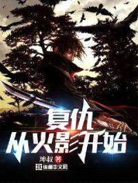 复仇，从火影开始封面