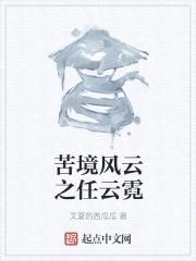苦境风云之任云霓封面