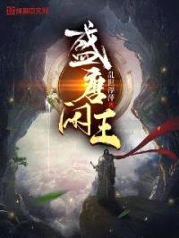 盛唐闲王封面