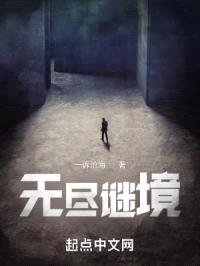 无尽谜境封面