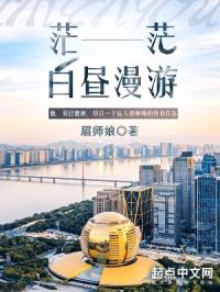 茫茫白昼漫游封面