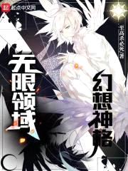 幻想神格：无限领域封面