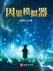我的因果模拟器封面