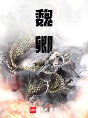 魏卿封面