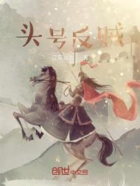 头号反贼封面