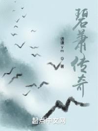 碧萧传奇封面