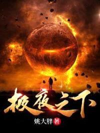 极夜之下封面