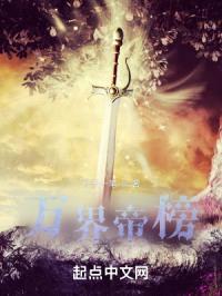 圣碎苍穹封面
