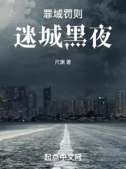 罪域罚则：迷城黑夜封面