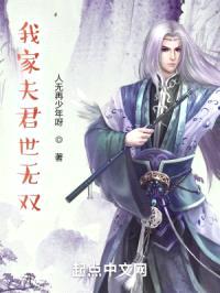 我家夫君世无双封面