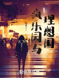 疯乐园封面