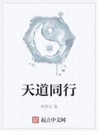 天道同行封面