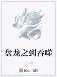 盘龙之到吞噬封面