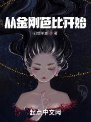 从金刚芭比开始封面