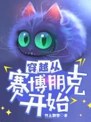 穿越从赛博朋克开始封面
