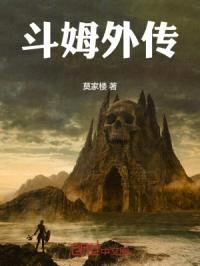 斗姆外传封面