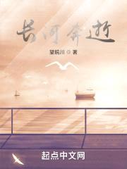 长河奔逝封面