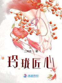 玲珑匠心封面