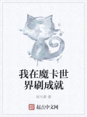 我在魔卡世界刷成就封面