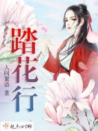 踏花行封面
