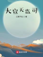 大宣天监司封面
