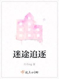 迷途追逐封面