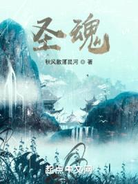 圣魂封面
