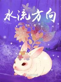 水流方向封面