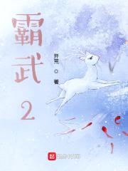 霸武封面