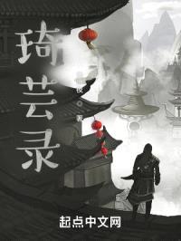 琦芸录封面