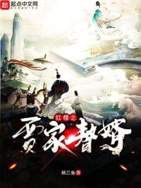 红楼之贾家赘婿封面