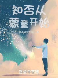 知否从蒙童开始封面