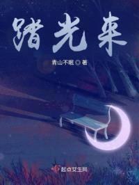 踏光来封面