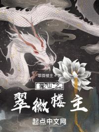 蜀山之翠微楼主封面