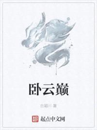 卧云巅封面