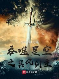 吞噬星空之巽风剑主封面