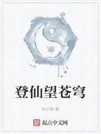 登仙望苍穹封面