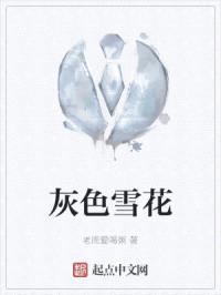 灰色雪花封面